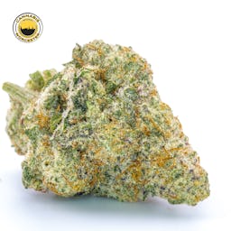 Miracle Alien Cookies 31 () | Fernway | 3.5g Flower - 3.5g image (8/16)