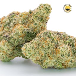 Miracle Alien Cookies 31 () | Fernway | 3.5g Flower - 3.5g image (13/16)