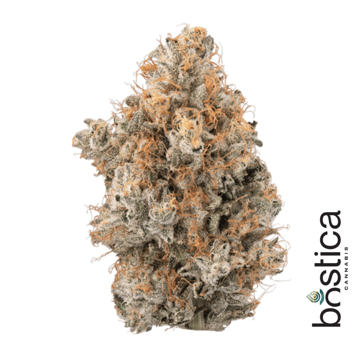 Confiscated Chem (SH) | Bostica | 3.5g Flower