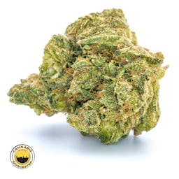 Fire Dawg () | Fernway | 3.5g Flower - 3.5g image (4/4)