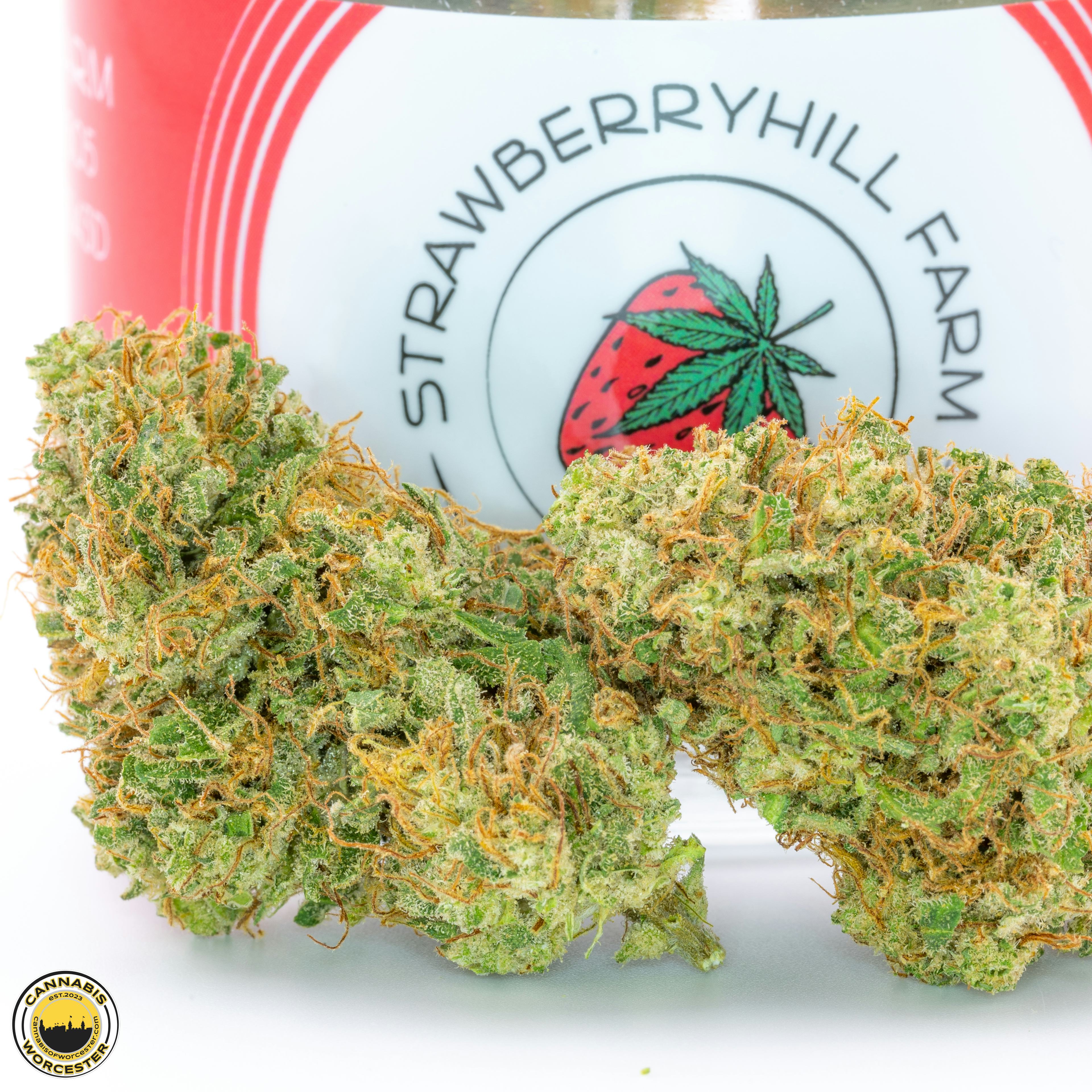 Sour Brulee | Strawberryhill Farm | 3.5g CBD Flower (NO THC) - 0.057mg image (1/3)