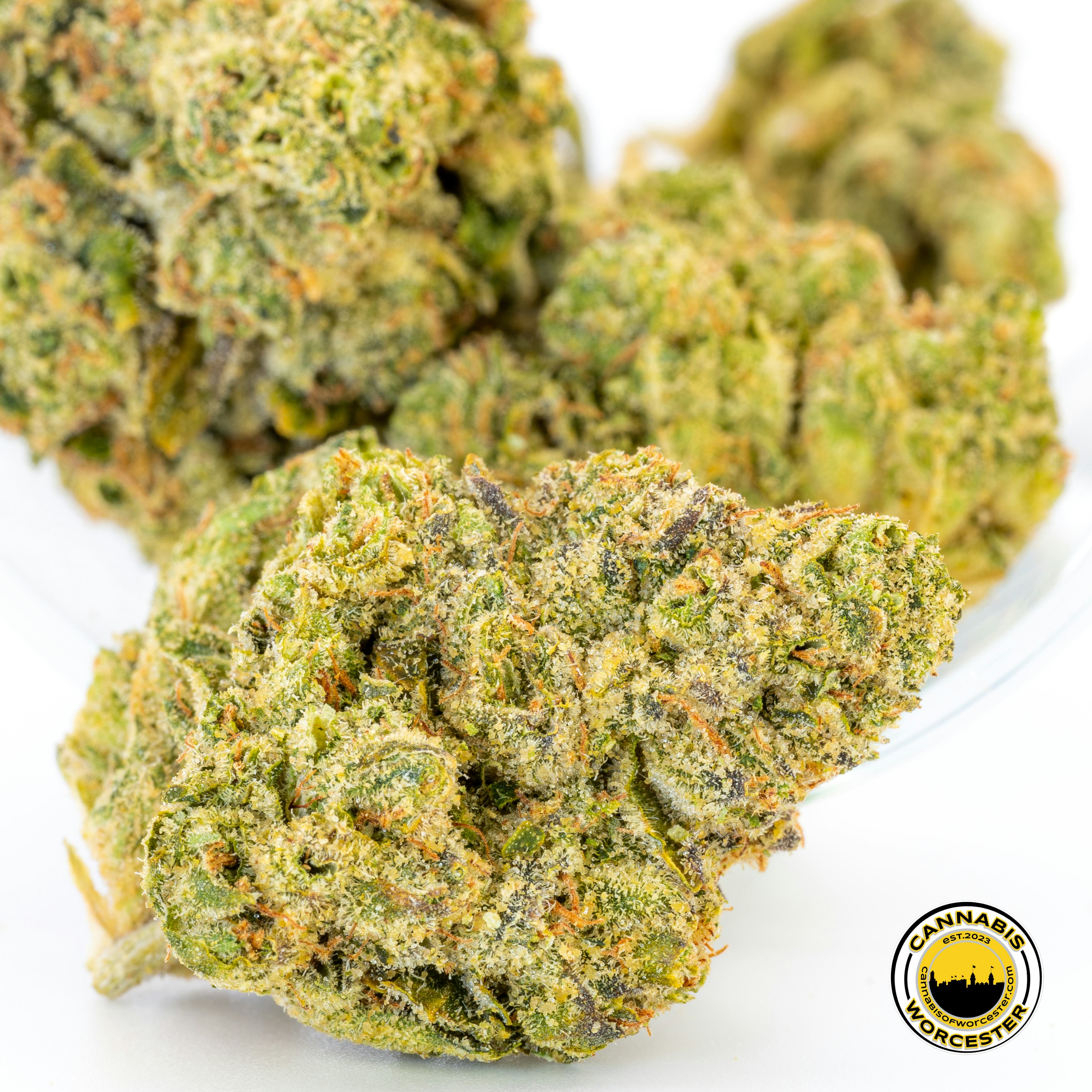 Hazmat OG (SH) | Grassroot's | 3.5g Flower