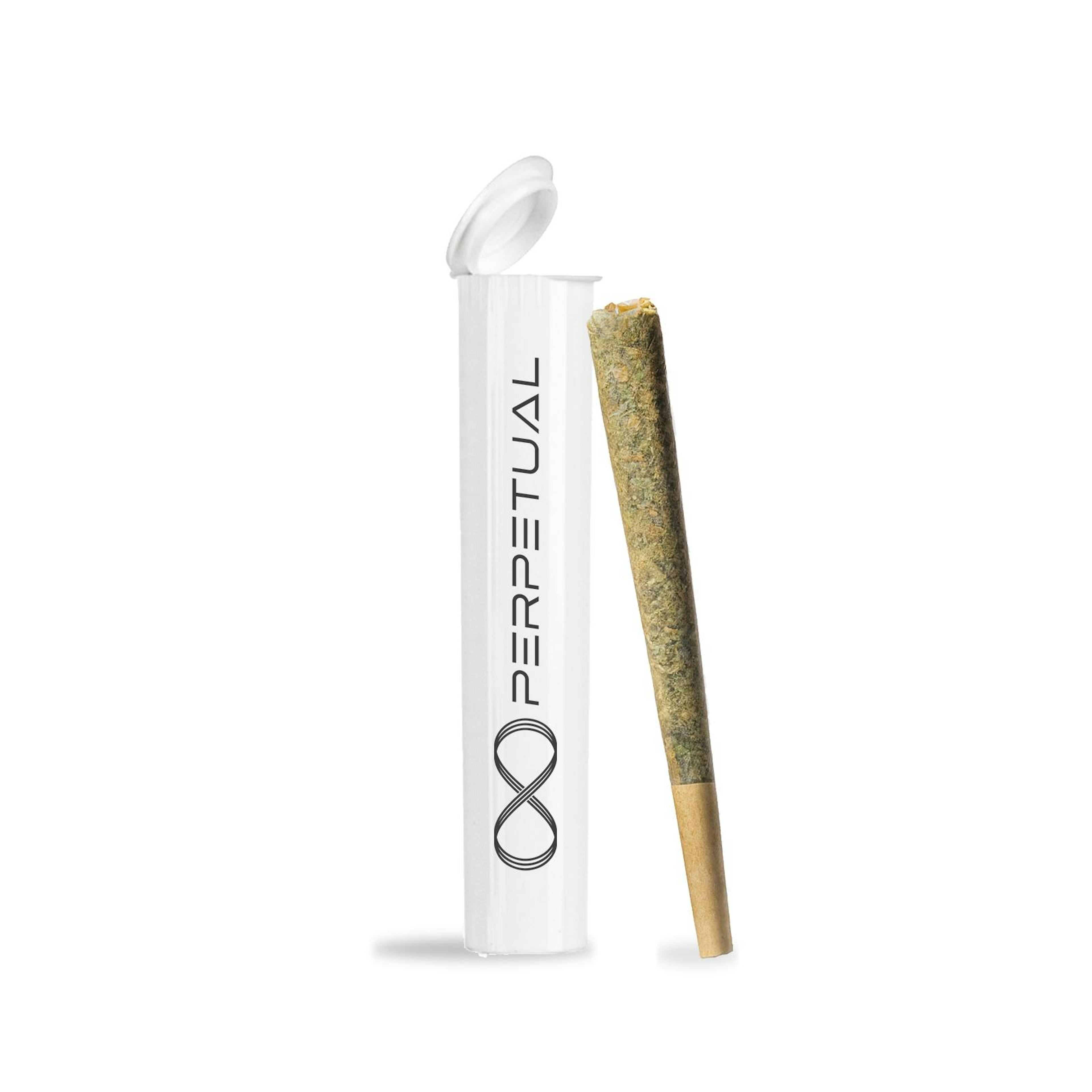 Dirty Chem (H) | Perpetual | 1g Pre-Roll
