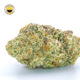 Miracle Alien Cookies 31 () | Fernway | 3.5g Flower - 3.5g image (4/16)