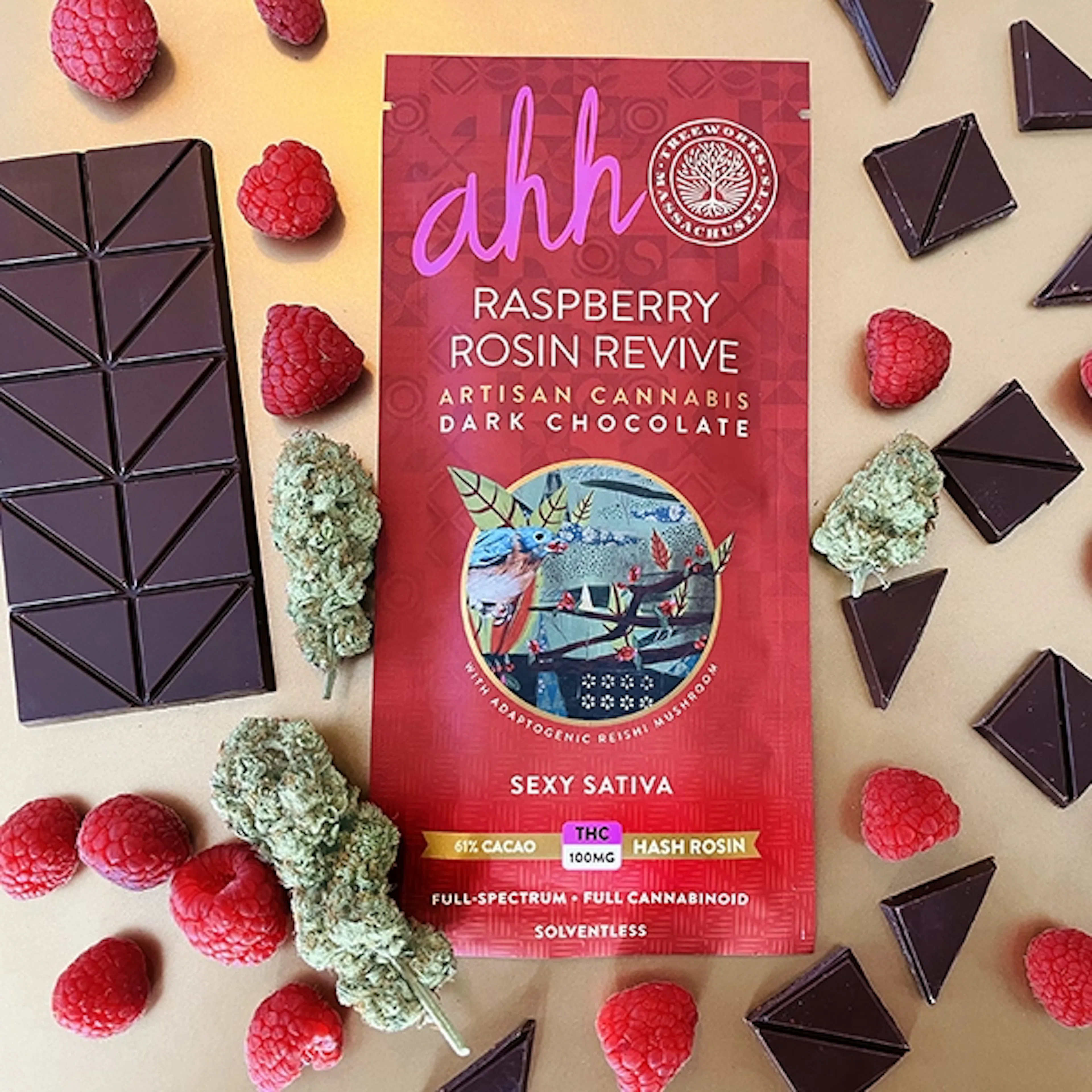 Raspberry Rosin Revive Dark Chocolate (S) | Ahh Moments | 100mg Hash Rosin