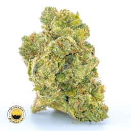 Fire Dawg () | Fernway | 3.5g Flower - 3.5g image (1/4)