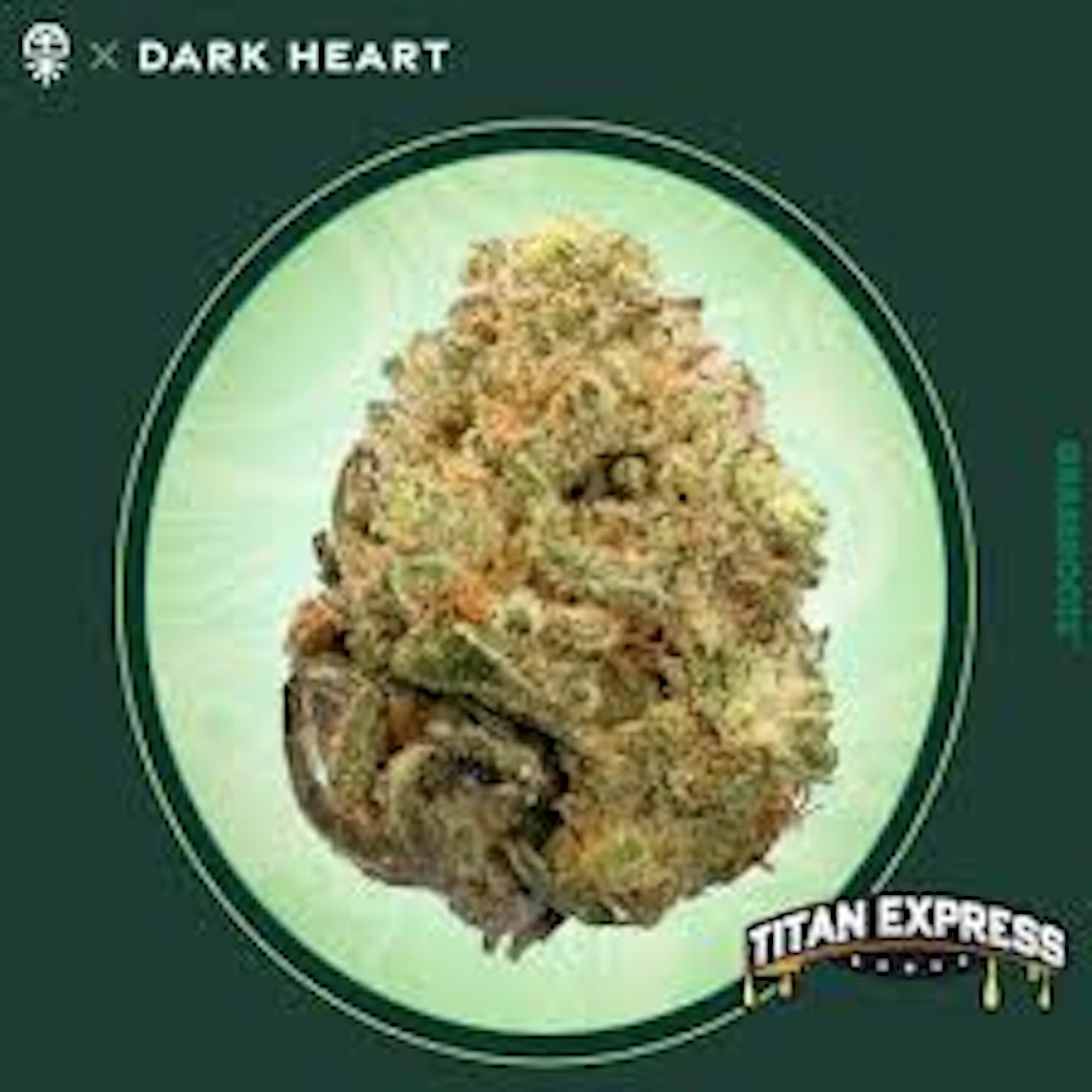 Titan Express (S) | Dark Heart | 14g Flower
