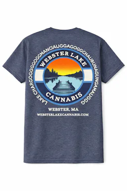 WLC Steel Blue Logo T-Shirt image (1/2)