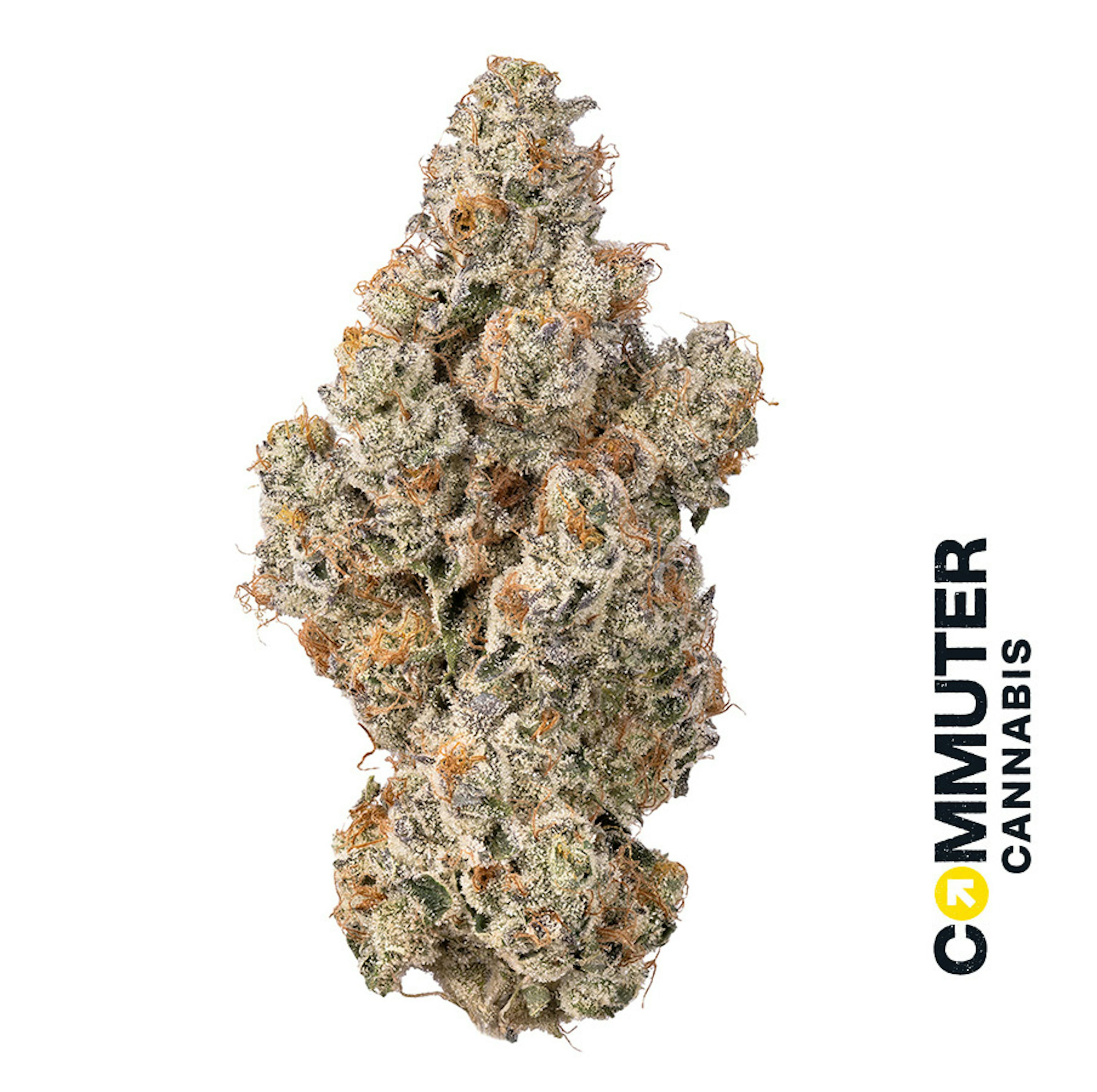 Lemon Balm (SH) | Commuter | 3.5g Flower