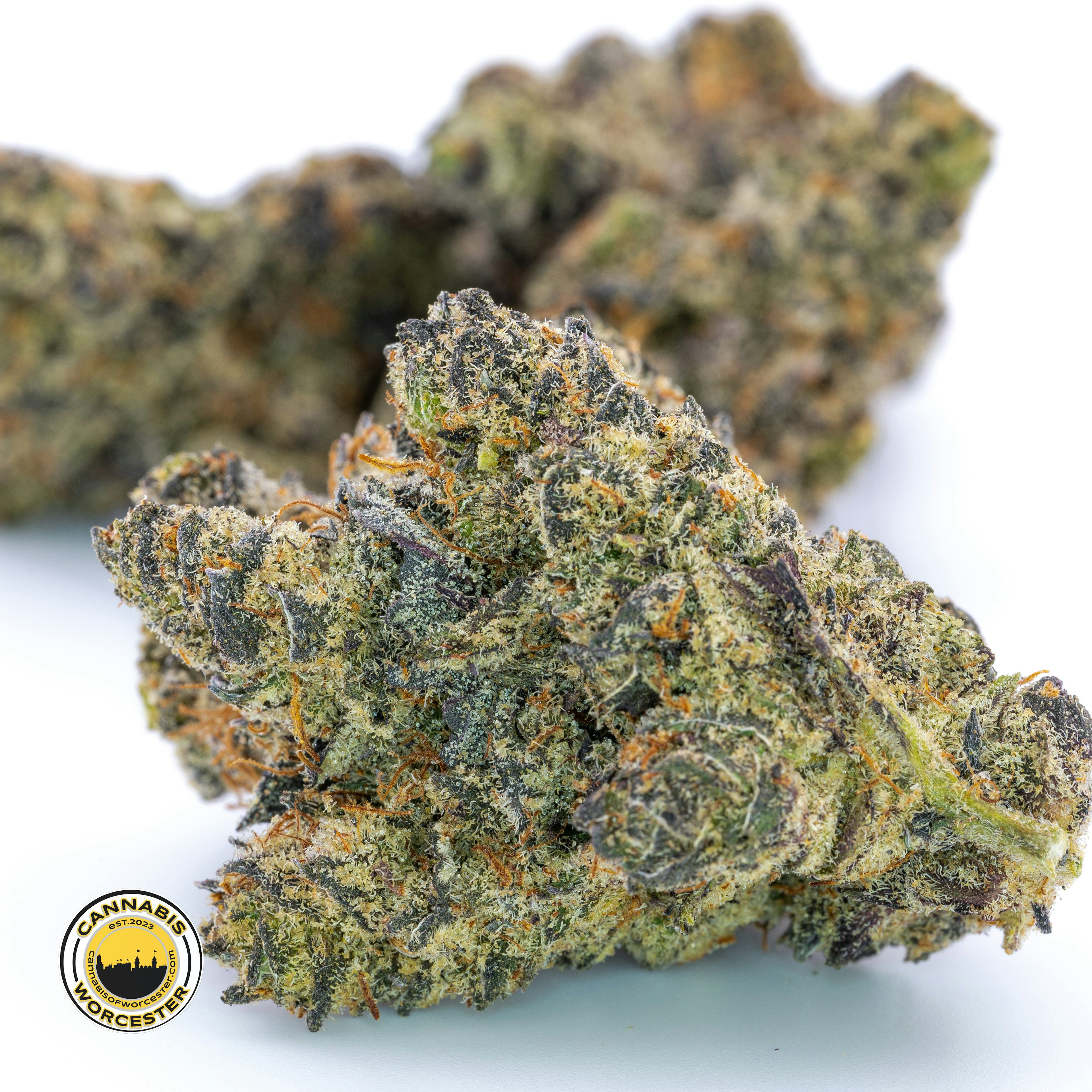 White Truffle (I) | Fernway | 3.5g Flower 