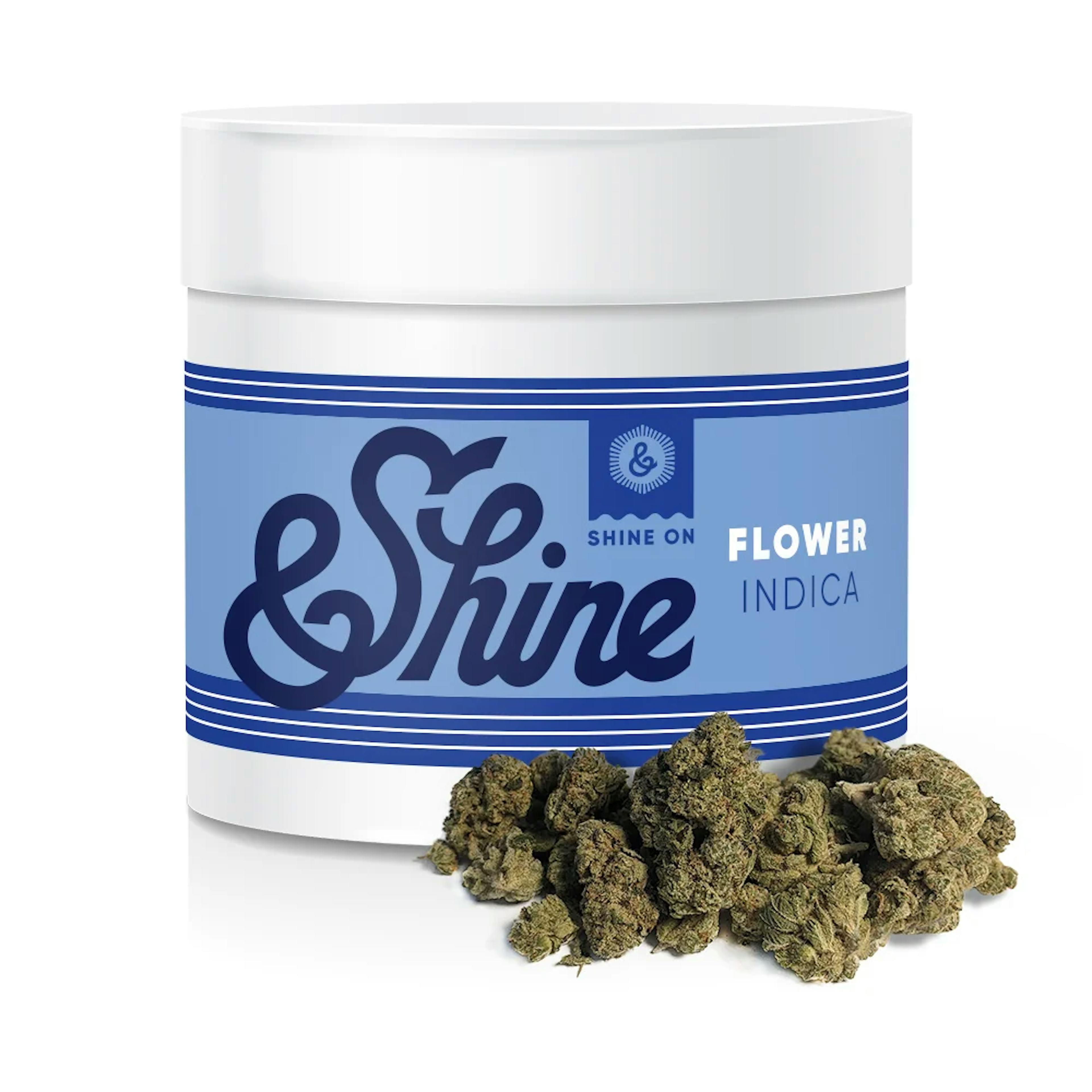 Garlic Drip (I) | &Shine | 3.5g Popcorn Flower