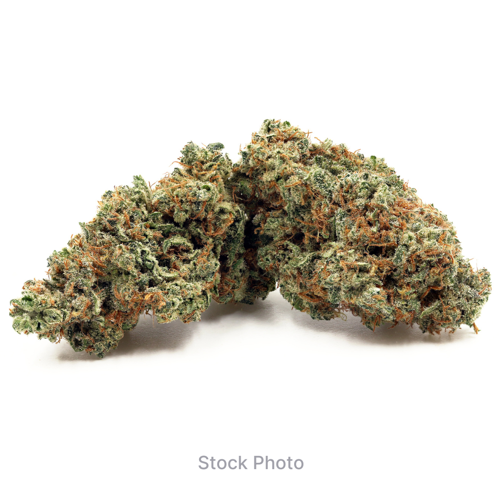 88 G13 Hashplant x Northern Lights #1 (H) | Old Pal | 5.0g