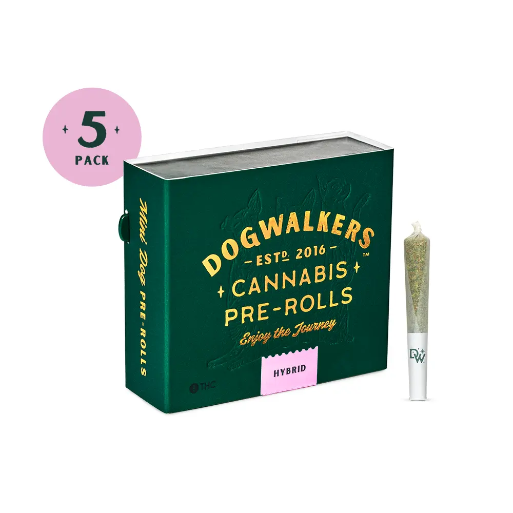 Afternoon Delight (H) | Dogwalkers | .35g 5pk Pre-Rolls