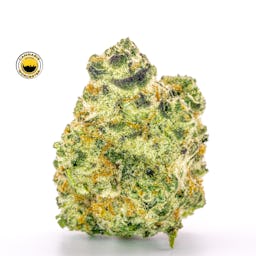 Butterstuff (H) | Simply Herb | 3.5g Flower - 3.5g image (3/5)