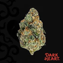 Berry Blintz (H) | Dark Heart | 14g Flower image (2/2)