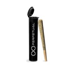 Girl (H) | Perpetual | Crumble Infused 1g Pre-Roll