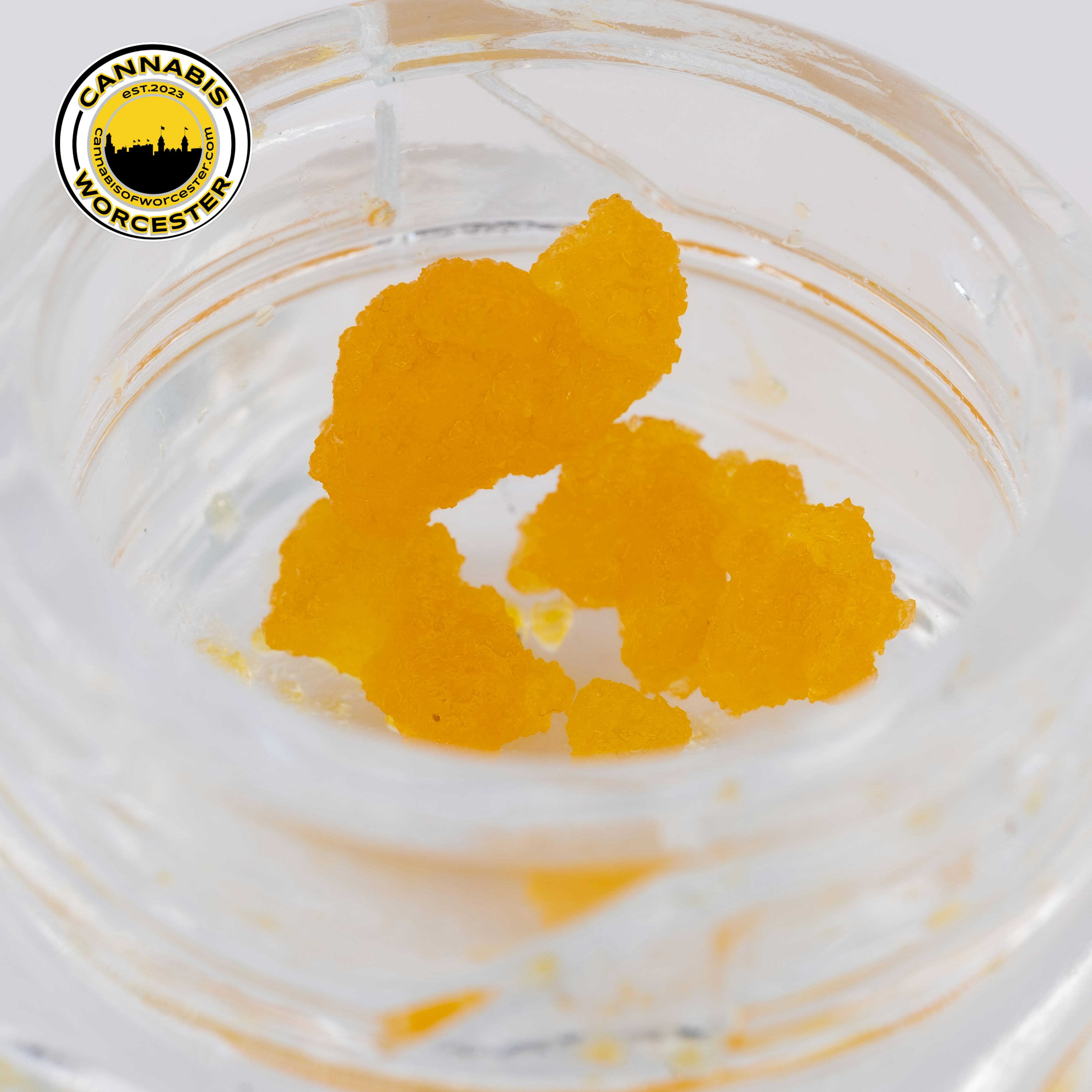 GP x PM Sugar (H) | Fox Tales | 0.5g Craft Concentrate  - 0.5g