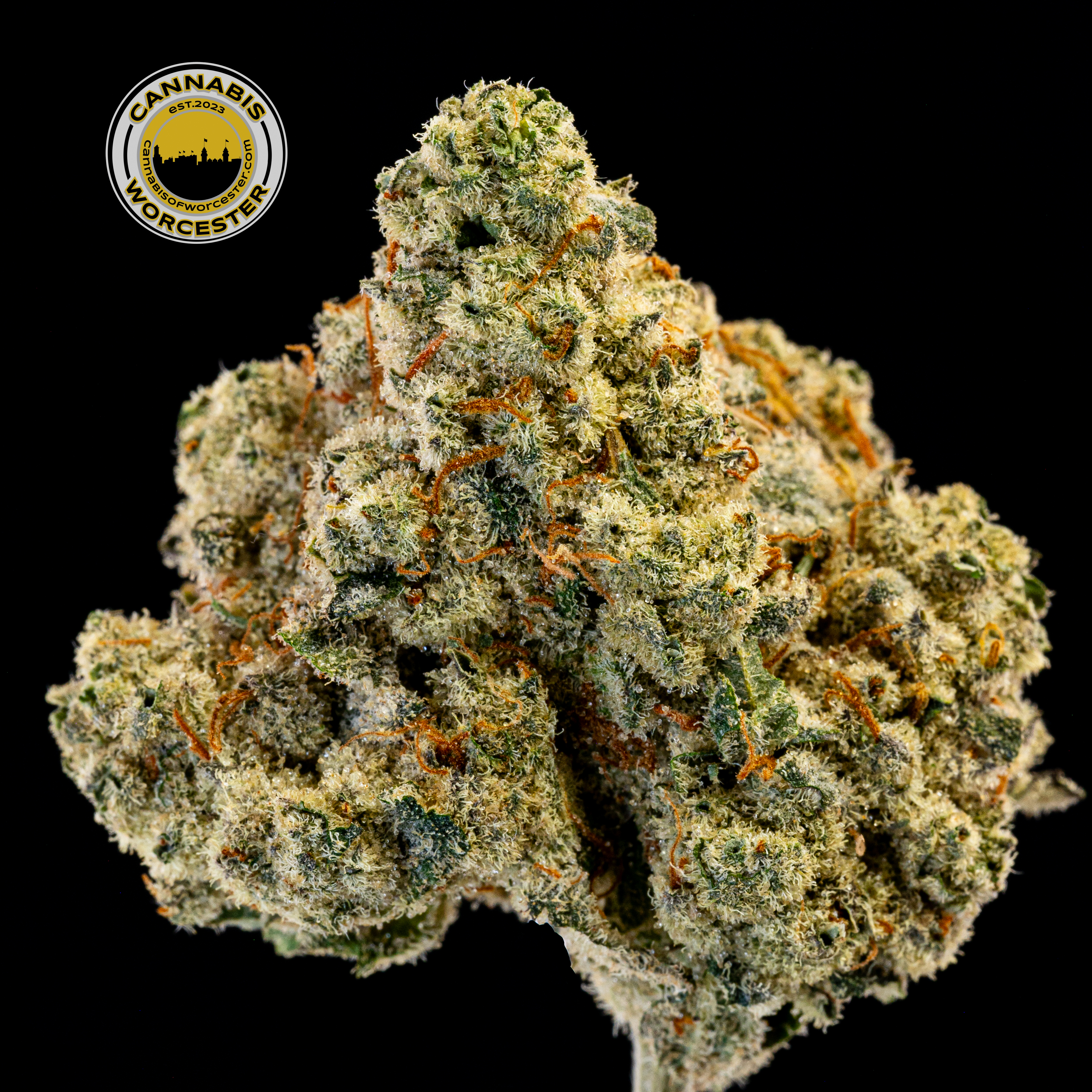 Happy Hour (H) | Simply Herb | 3.5g Flower | Flower | Simply Herb