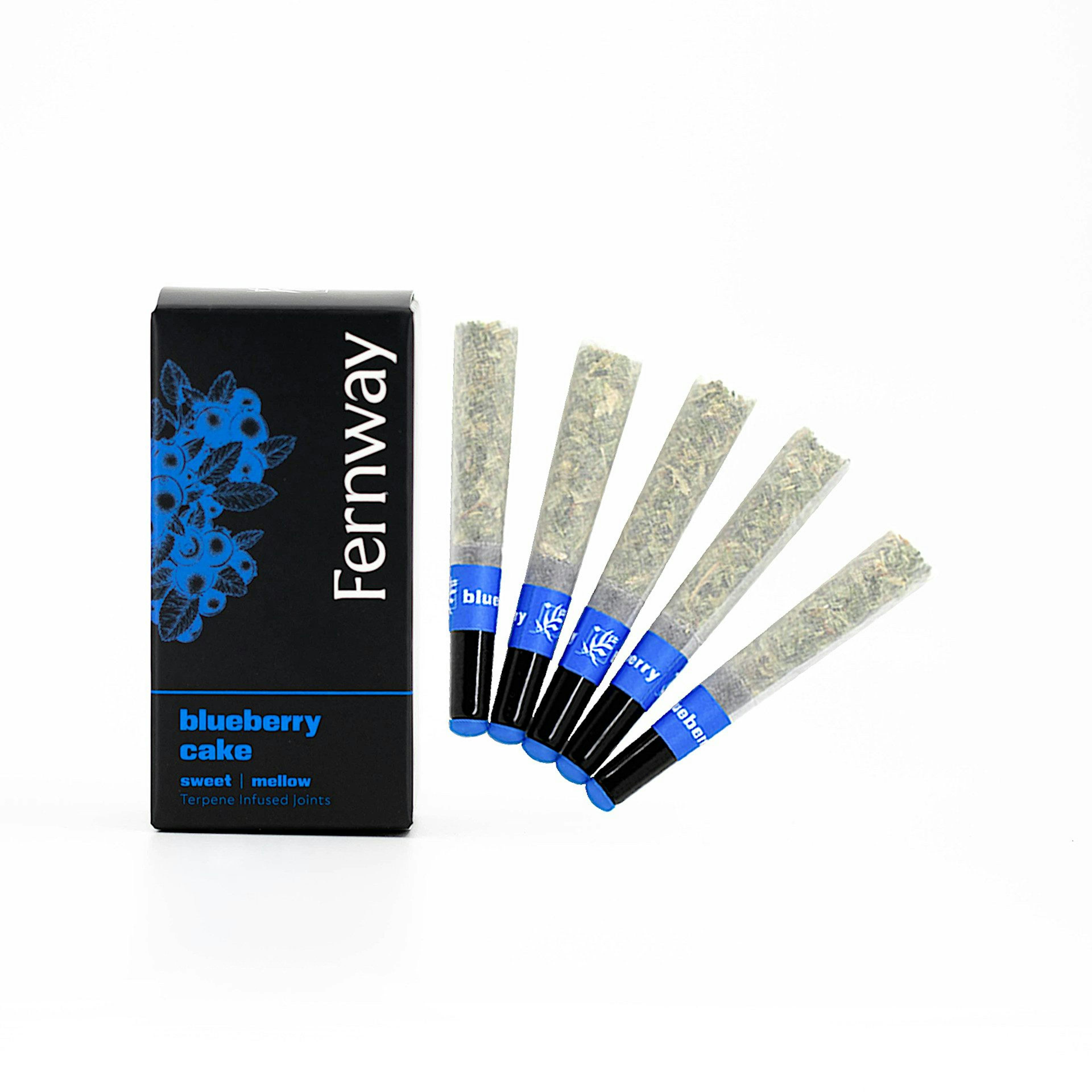 Blueberry Cake (H) | Fernway | 0.5g 5Pk Pre Rolls
