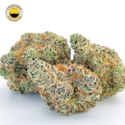 Banana Daddy (H) | Simply Herb | Flower - 3.5g image (2/2)