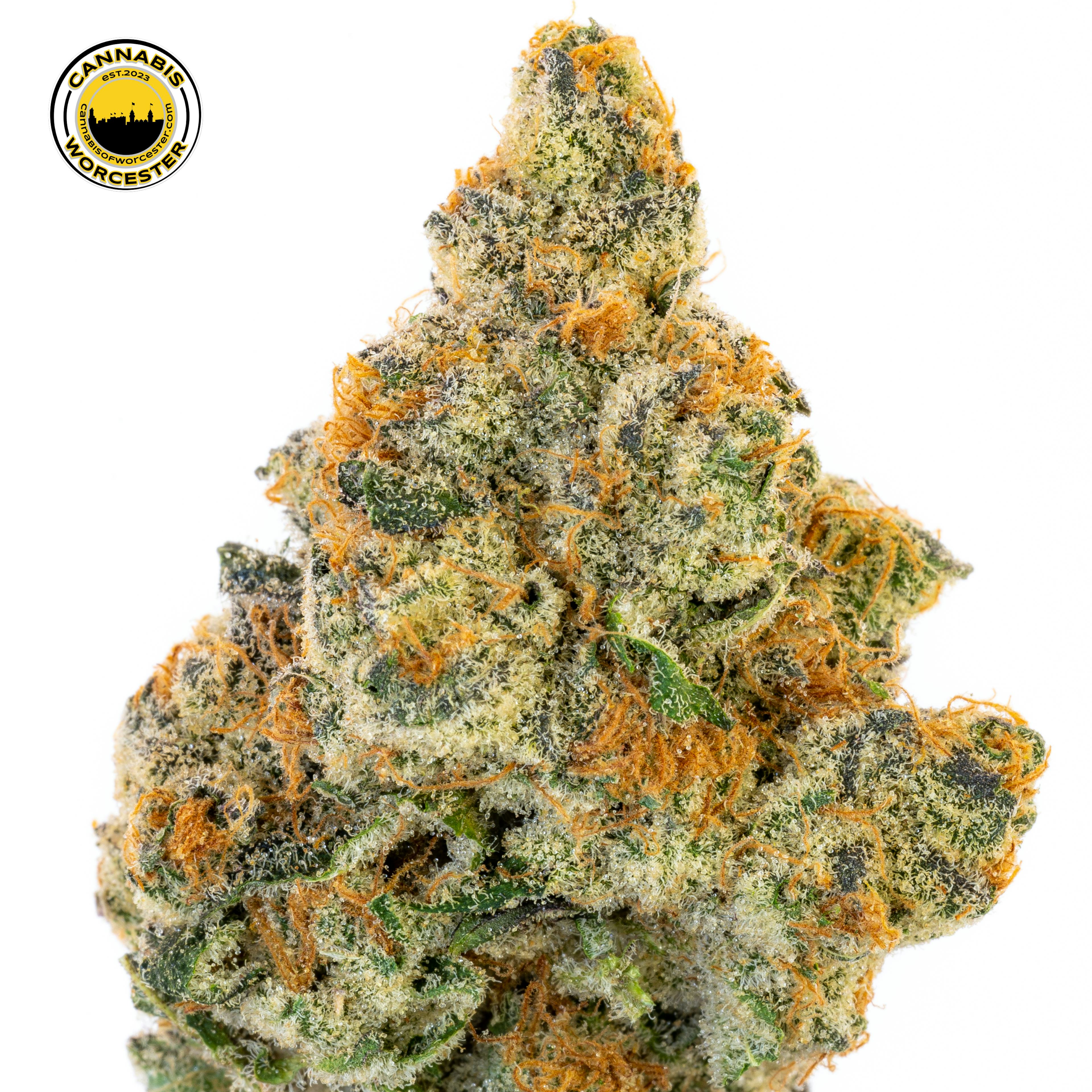 Astro-Pop (H) | River Run | 3.5g Flower - 3.5g