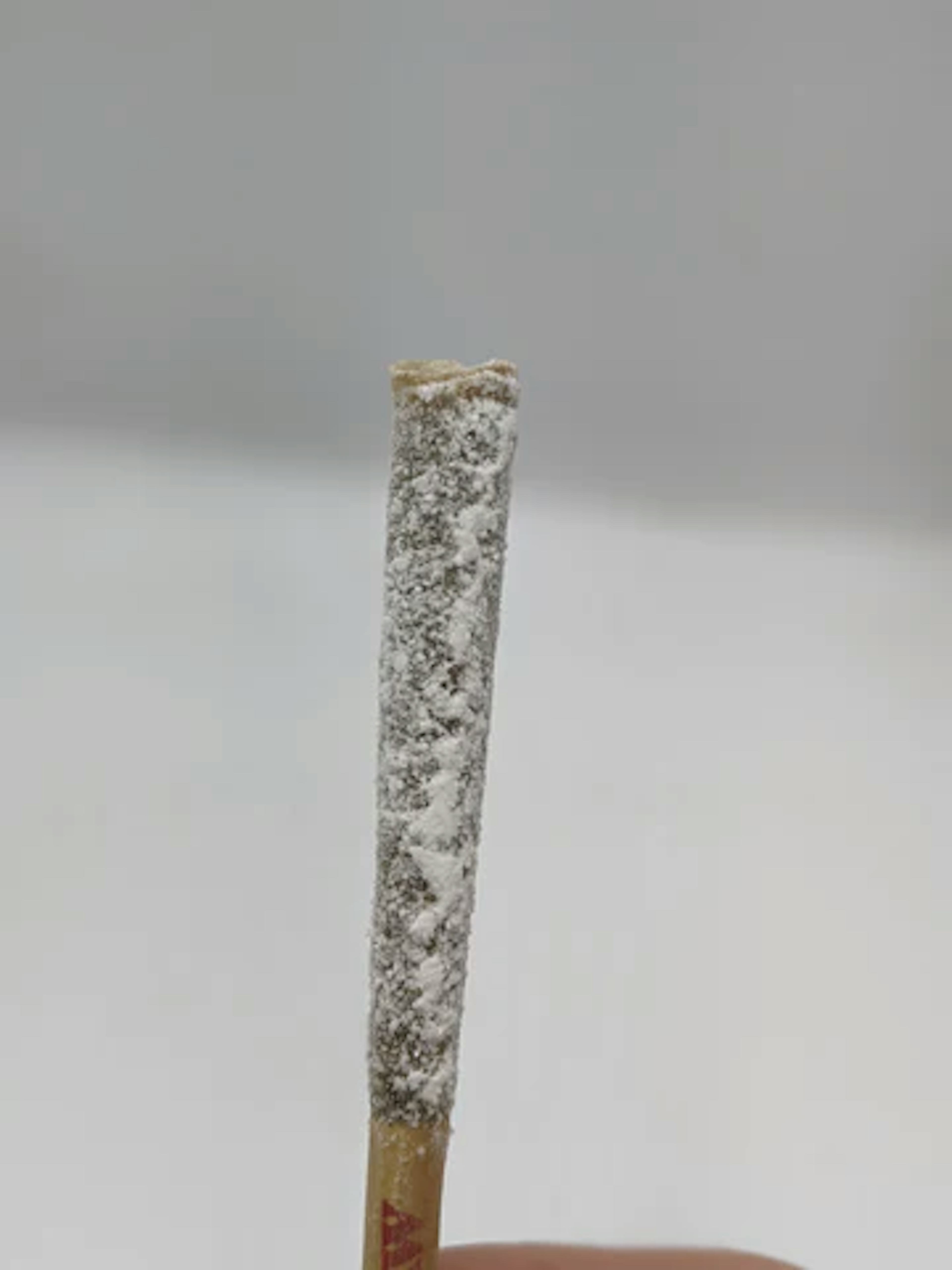 Apple Fritter (H) | Sugar Cones | 1.14g Infused Preroll