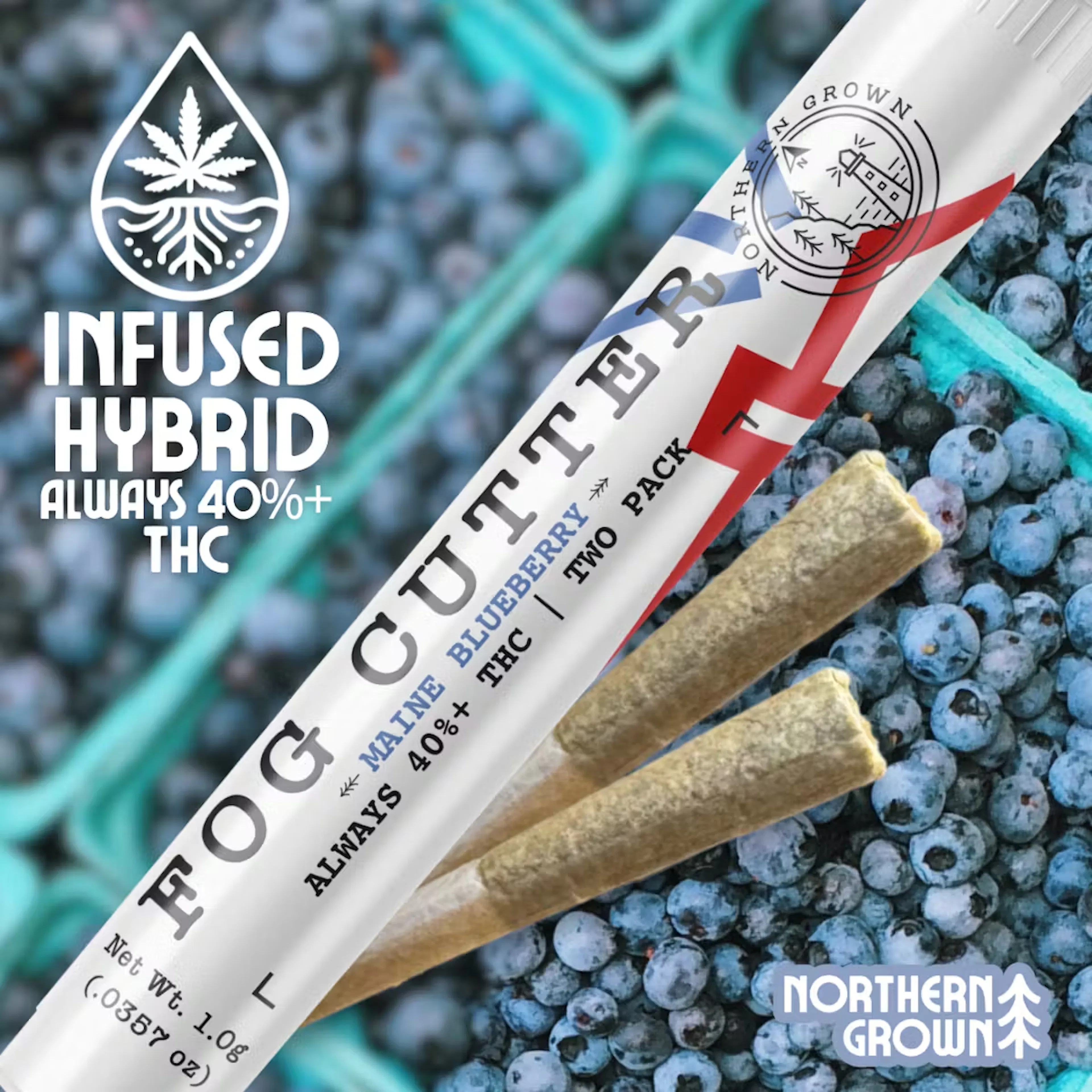 Maine Blueberry (H) | Fog Cutter | 0.5g 2pk Infused Pre-Rolls
