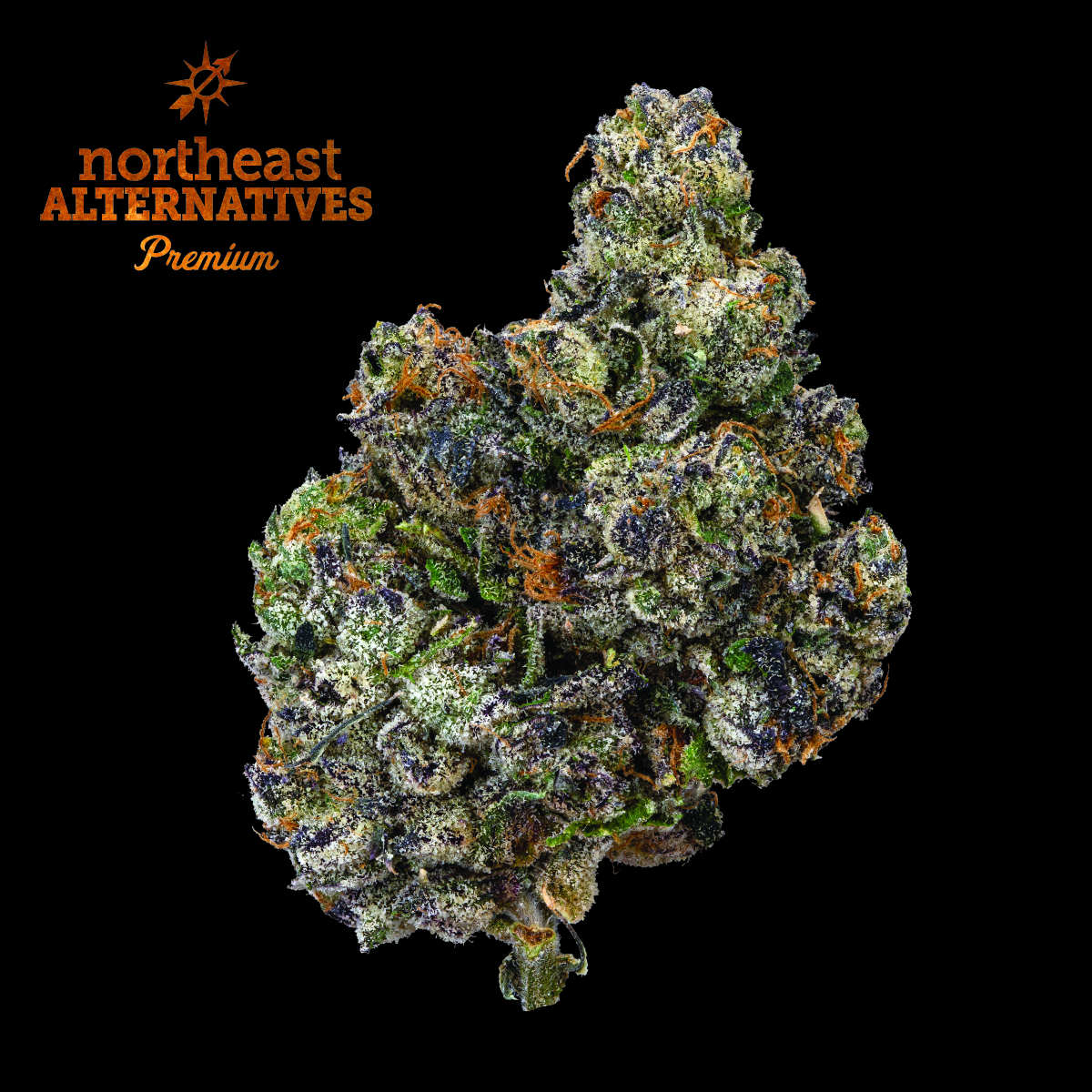 Sherb Cream Pie (I) | NEA Premium | 3.5g Flower