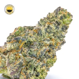 White Truffle () | Fernway | 3.5g Flower - 3.5g image (4/13)