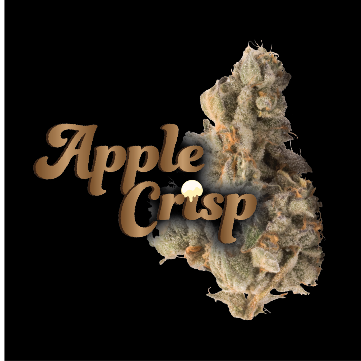 Apple Crisp (IH) | Nimbus | 3.5g Flower