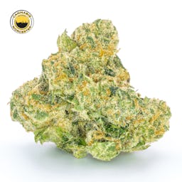 Mint Sherbert () | Fernway | 3.5g Flower - 3.5g image (3/12)