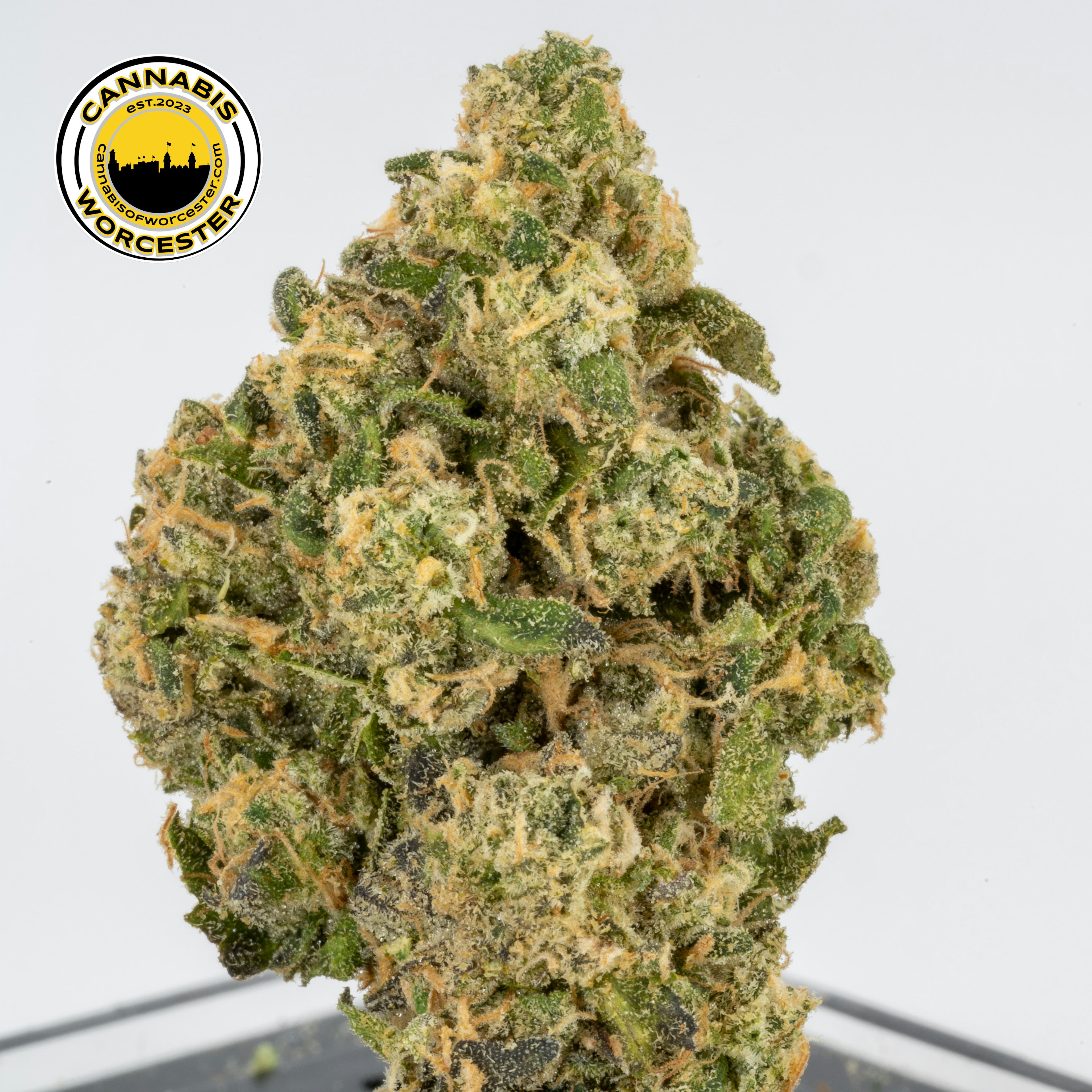 Rainbow Road | Mass Alternative Care | 3.5g Flower - 3.5g