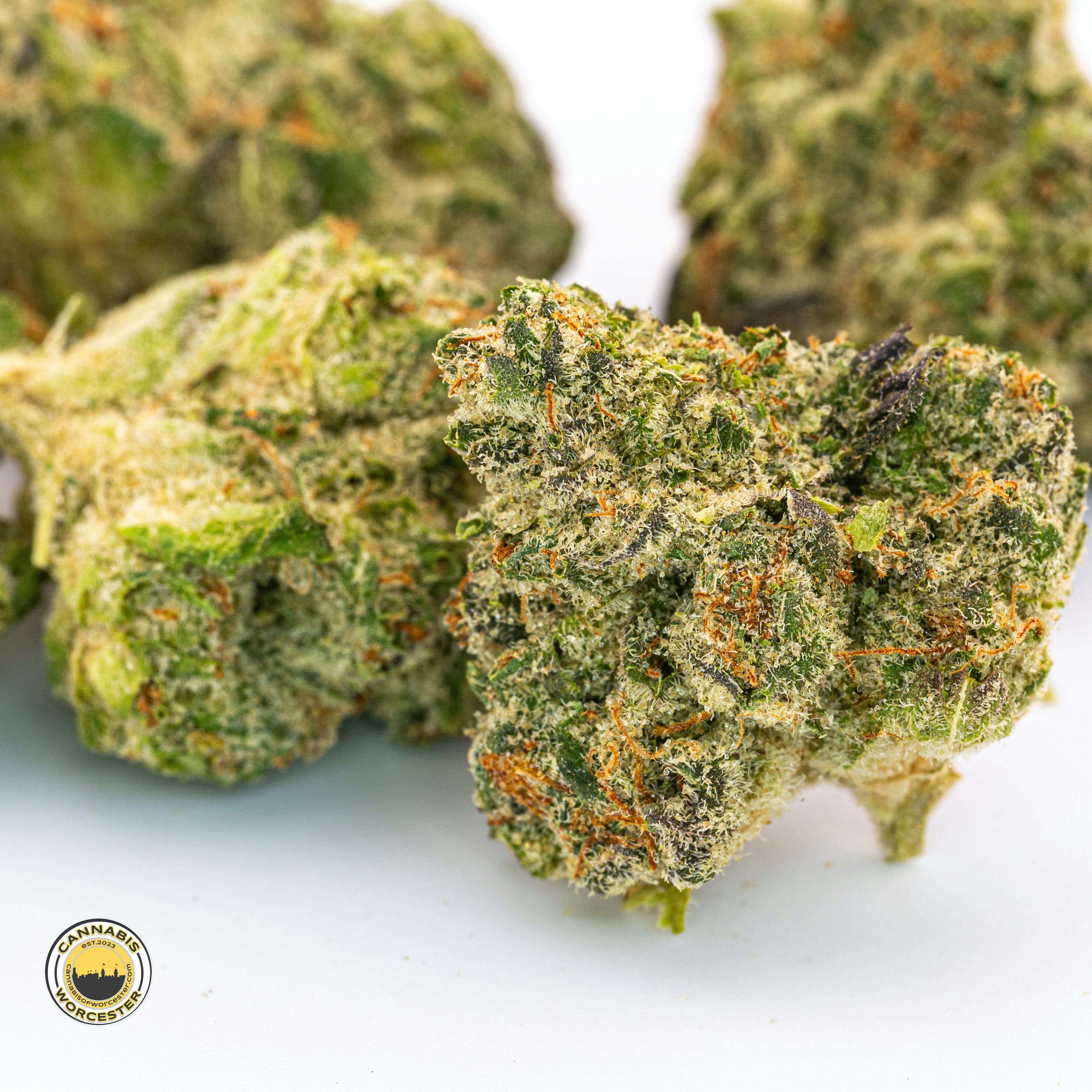 Candy Mouth (I) | Fernway | 3.5g Flower 