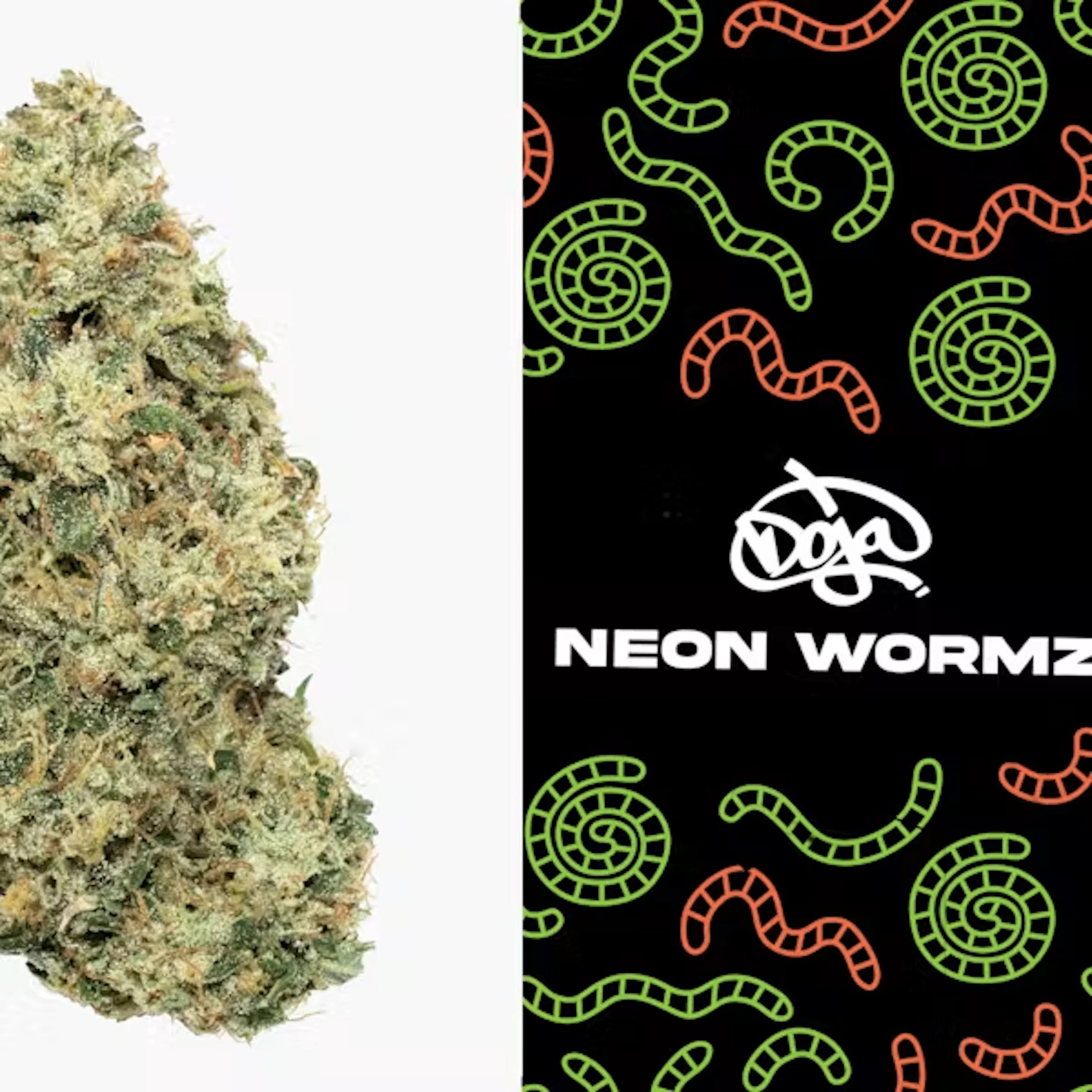 Neon Wormz (H) | Doja | 3.5g Flower