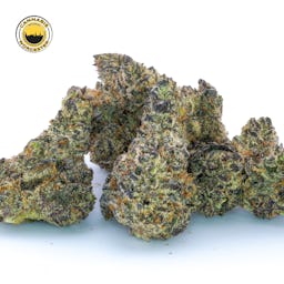 White Truffle () | Fernway | 3.5g Flower - 3.5g image (10/13)