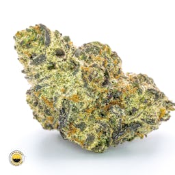 White Truffle () | Fernway | 3.5g Flower - 3.5g image (13/13)