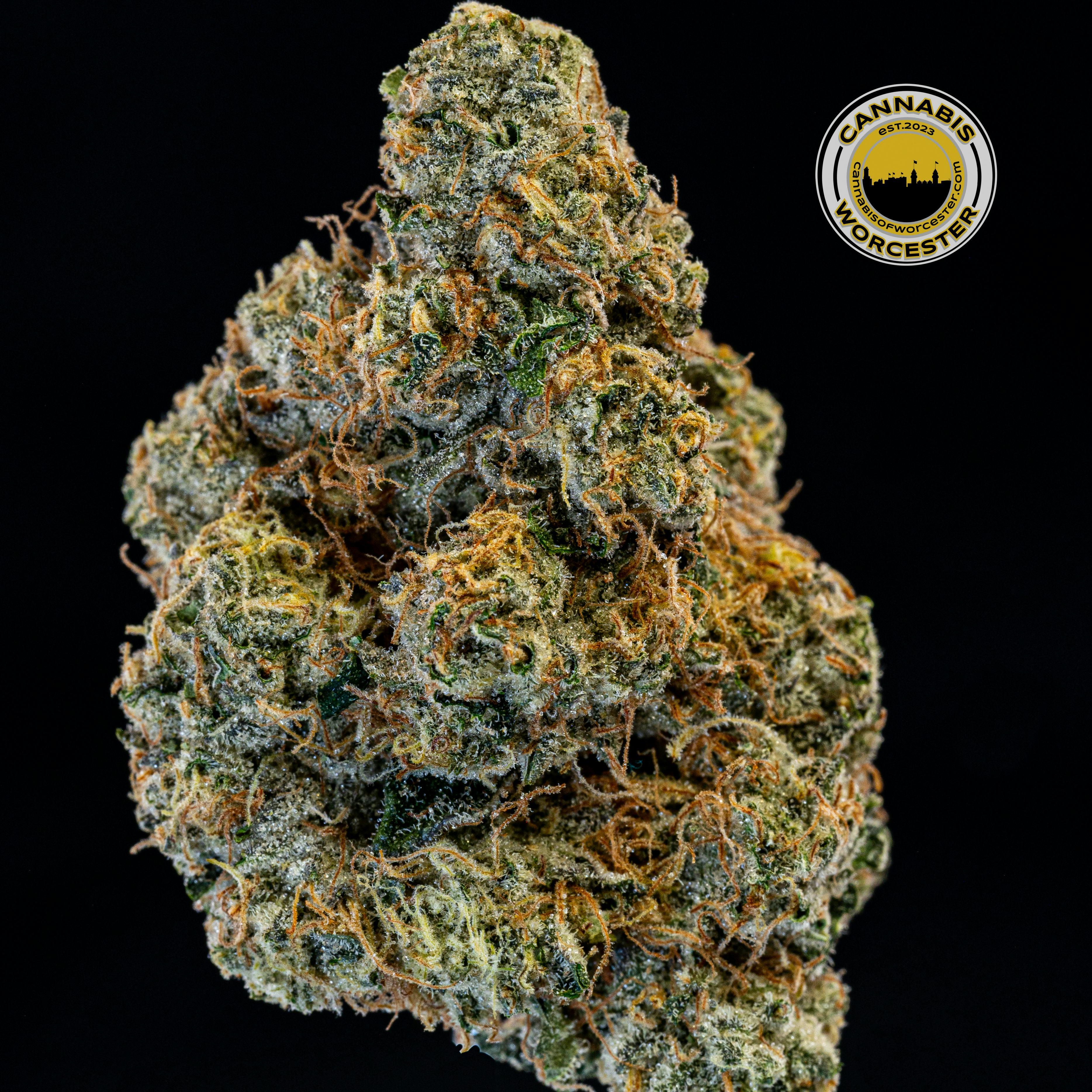 Wedding Cake (IH) | Root & Bloom | 3.5g Flower