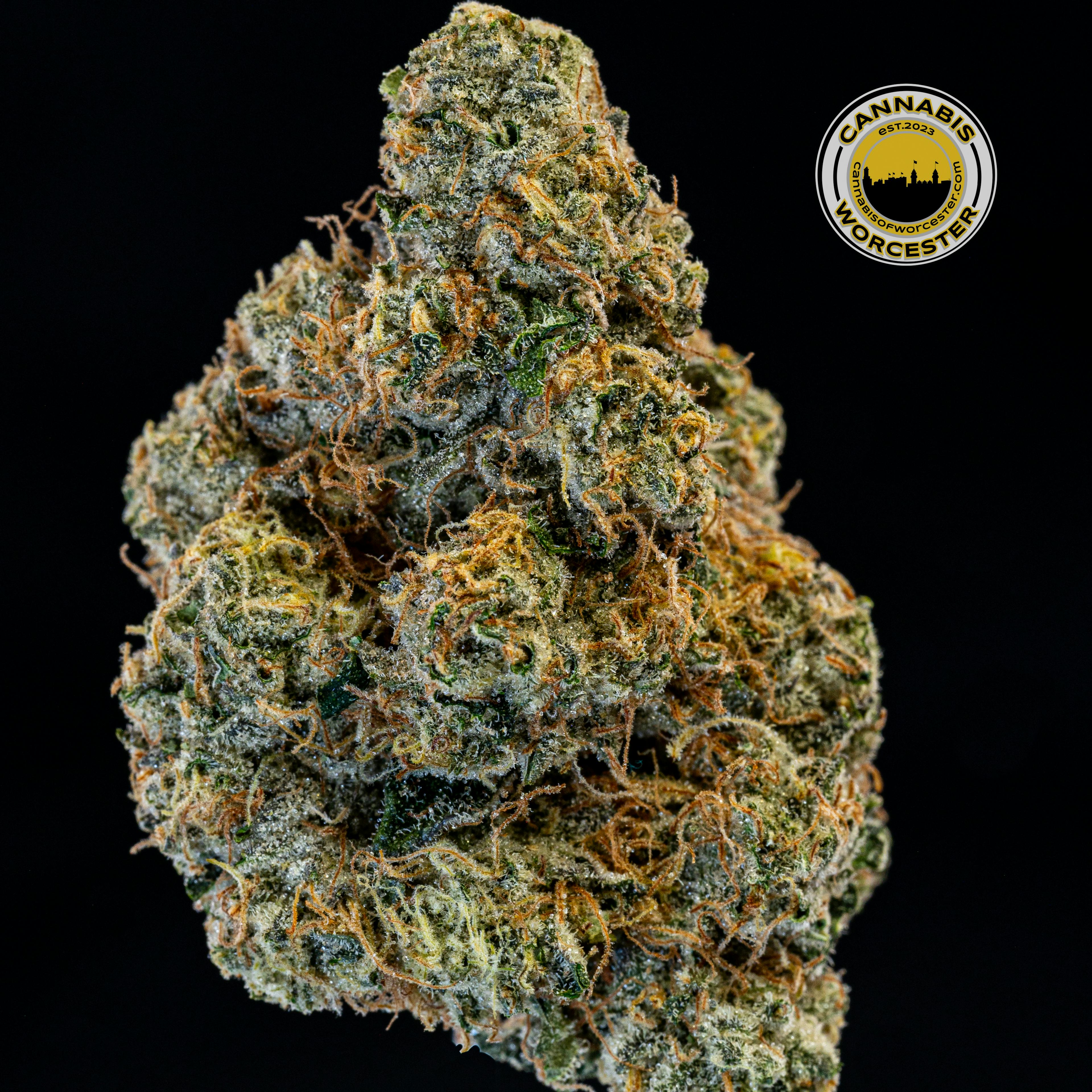 Wedding Cake (IH) | Root & Bloom | 3.5g Flower 