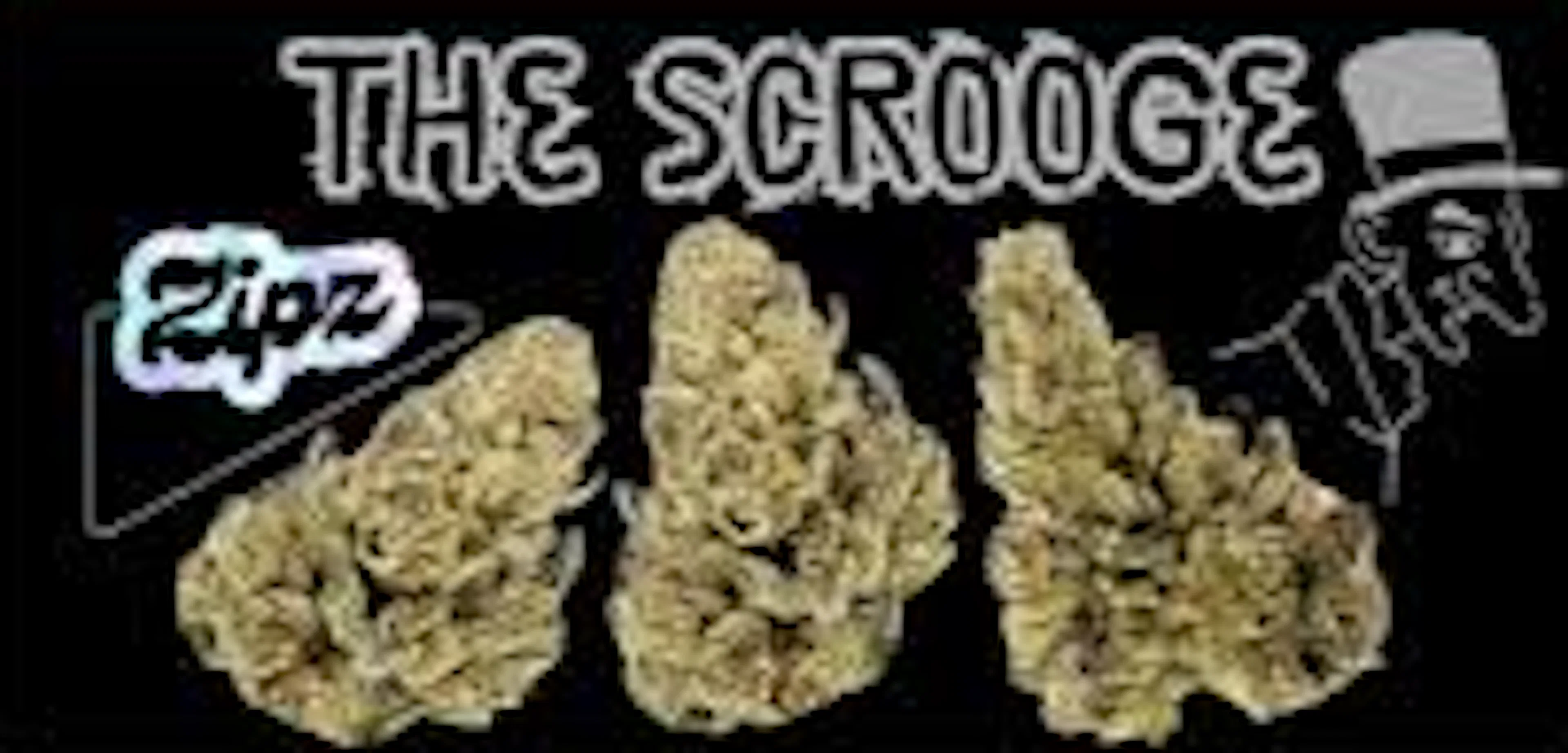 The Scrooge (H) | Zipz | 28g Flower