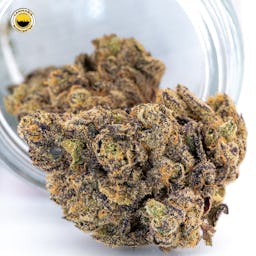 Project Z (H) | River Run | 3.5g Flower - 3.5g image (1/2)