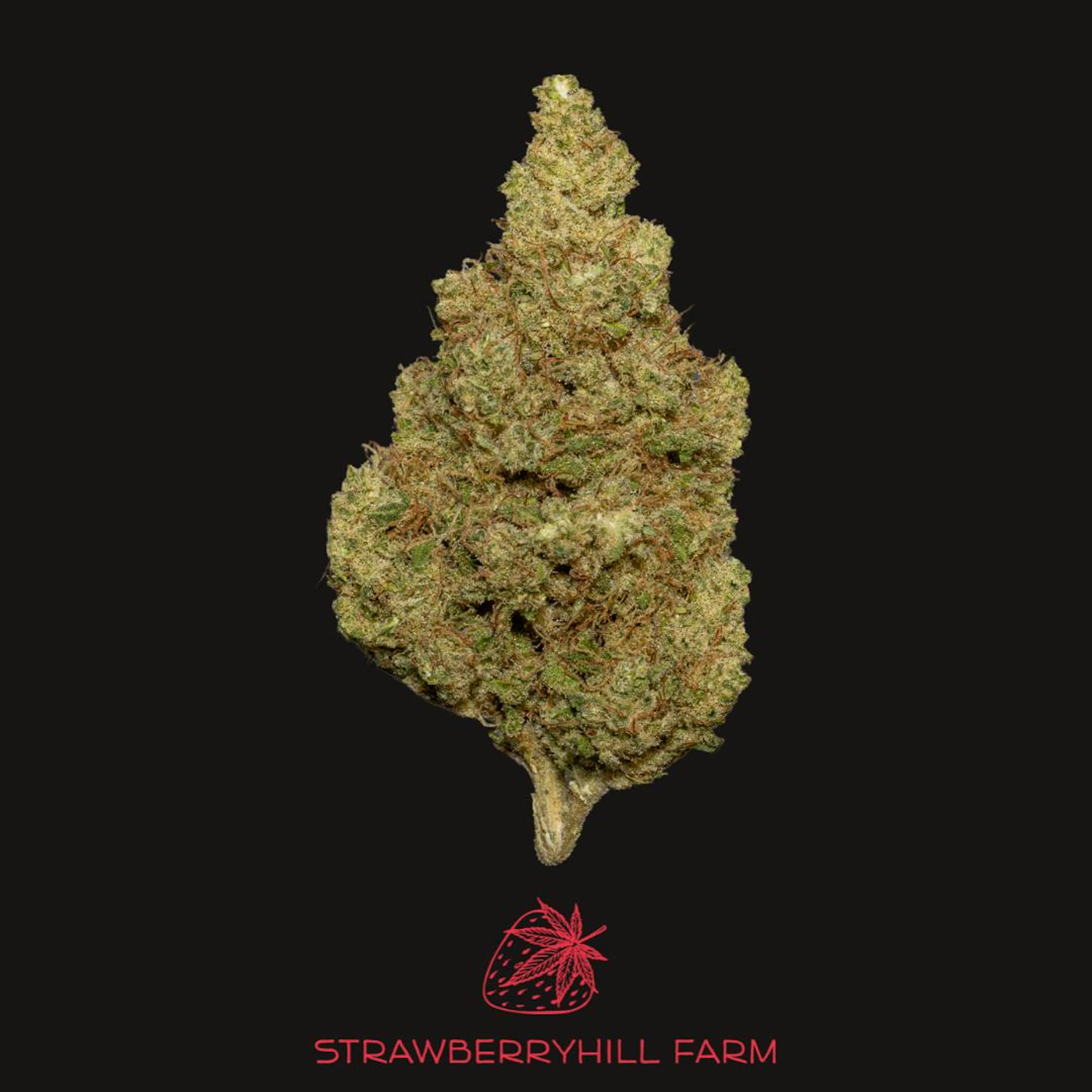 Sour Chem | Strawberryhill Hemp | 3.5g CBD Flower (NO THC)