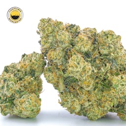 Mint Sherbert () | Fernway | 3.5g Flower - 3.5g image (9/12)