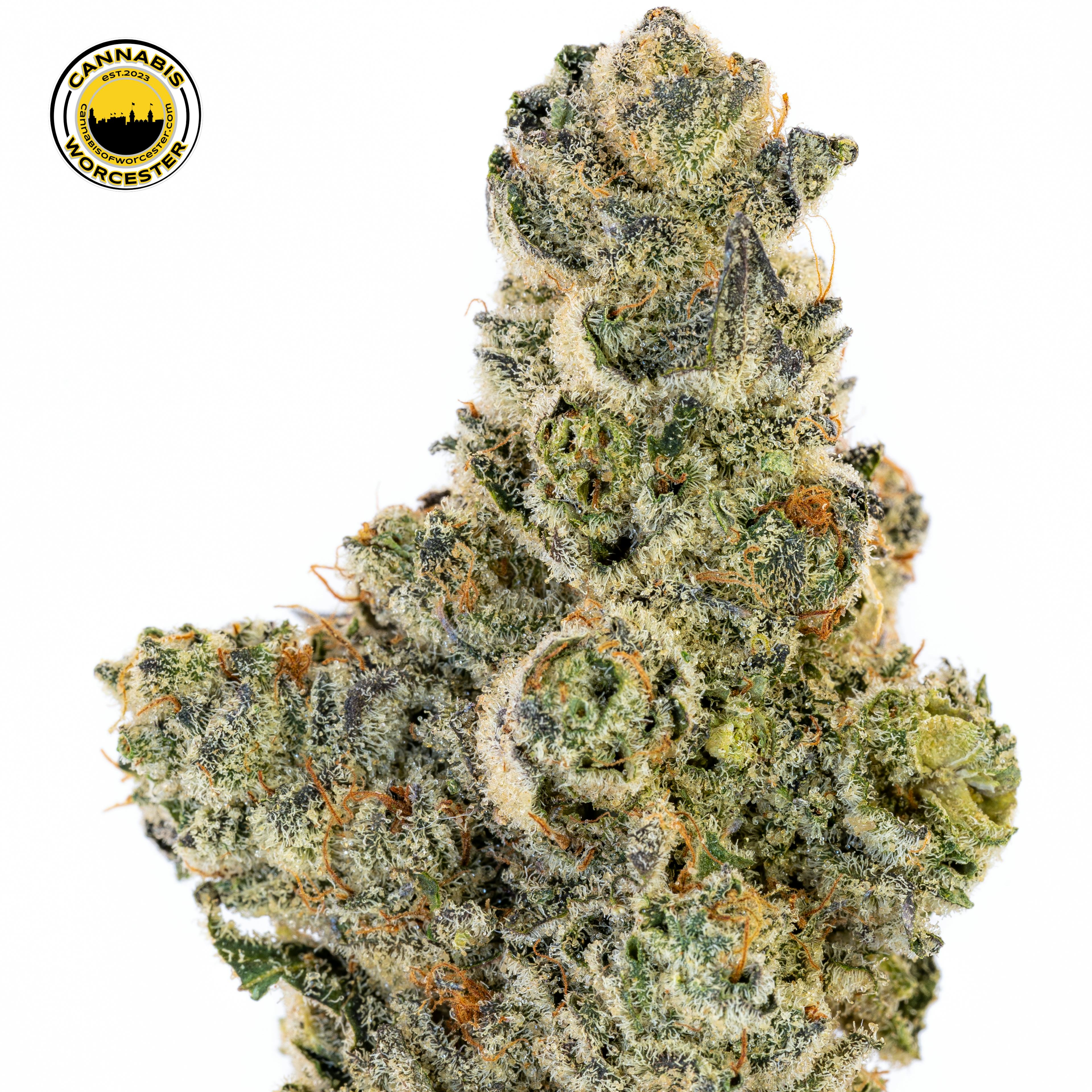 Musty Buffalo (H) | River Run | 3.5g Flower - 3.5g