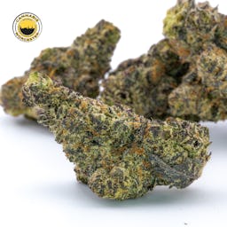 White Truffle () | Fernway | 3.5g Flower - 3.5g image (3/13)