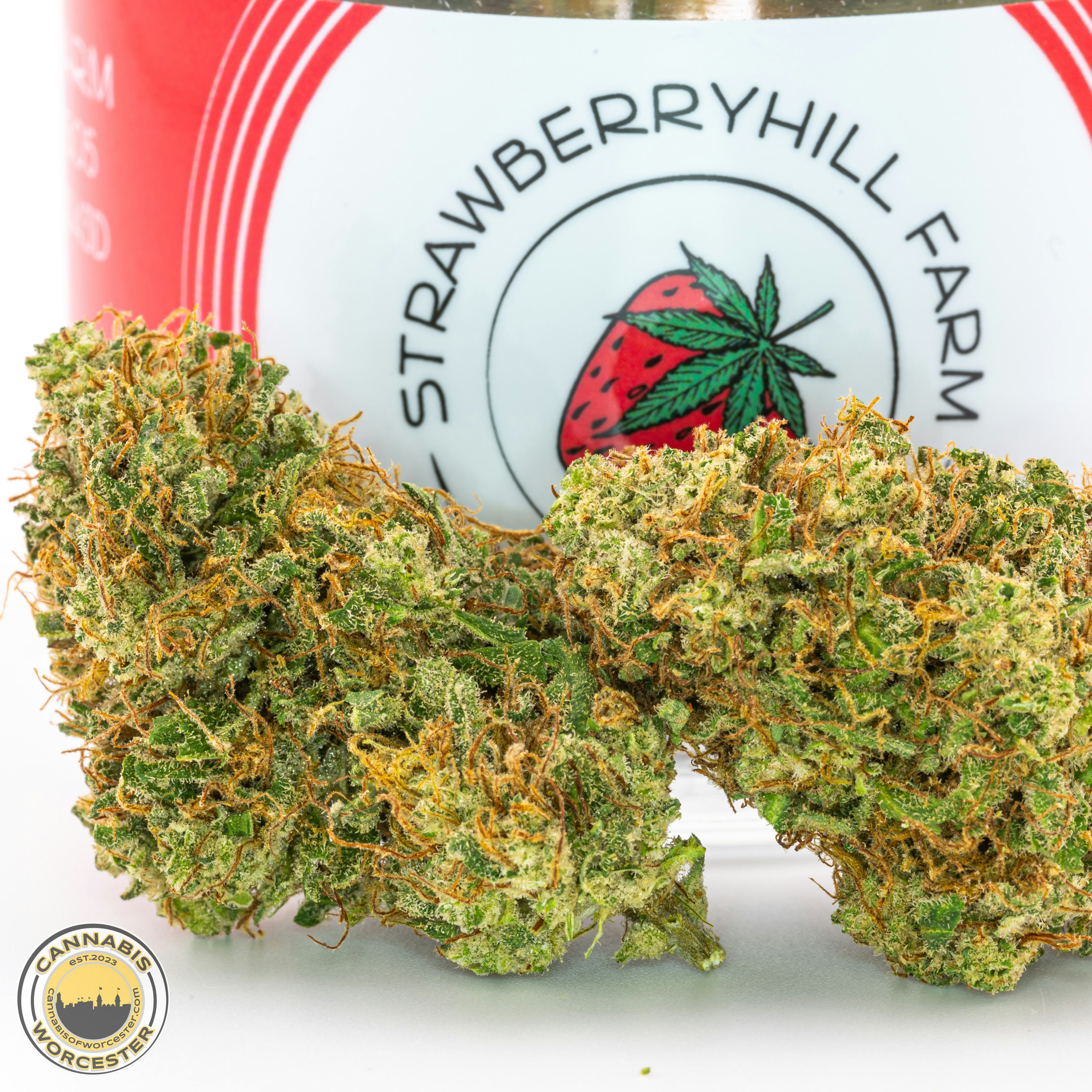 Sour Brulee | Strawberryhill Farm | 3.5g CBD Flower (NO THC) - 0.057mg