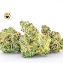 Butterstuff (H) | Simply Herb | 3.5g Flower - 3.5g image (2/5)