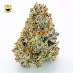 Boston Stranglah (I) | Nimbus | 3.5g Flower - 3.5g image (3/4)