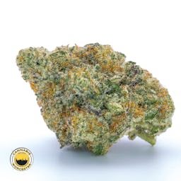 Miracle Alien Cookies 31 () | Fernway | 3.5g Flower - 3.5g image (7/16)