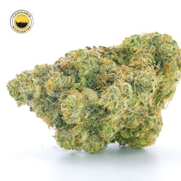 Mint Sherbert () | Fernway | 3.5g Flower - 3.5g image (12/12)