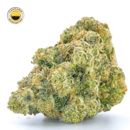 Mint Sherbert () | Fernway | 3.5g Flower - 3.5g image (7/12)